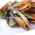 Fresh Frozen Mussel for Market fresh frozen mussel for sale Manufactory